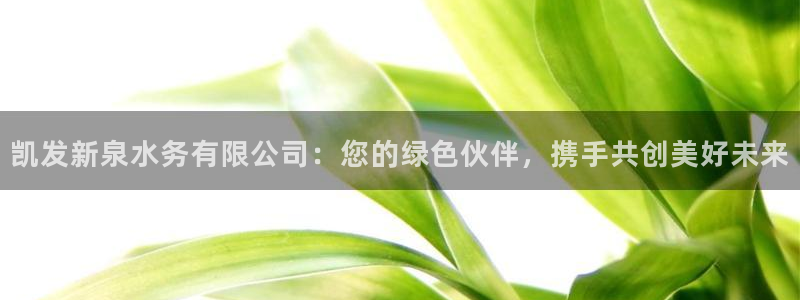 乐赢彩店app：凯发新泉水务有限公司：您的绿色伙伴，携手共创美好未来