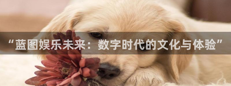 图文资讯天空彩赢彩：“蓝图娱乐未来：数字时代的文化与体验”