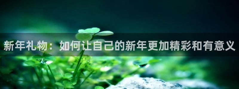 赢彩专家官网：新年礼物：如何让自己的新年更加精彩和有意义