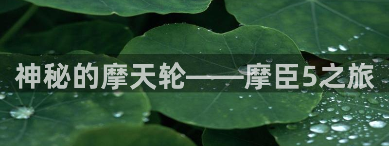 859.ccc赢彩网：神秘的摩天轮——摩臣5之旅