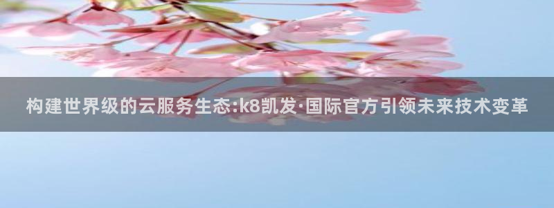 图文资讯天空彩赢彩：构建世界级的云服务生态:k8凯发·国际官方引领未来技术变革
