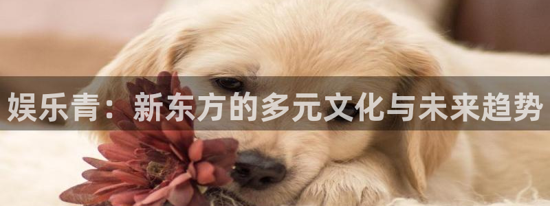 乐赢彩怎么玩法：娱乐青：新东方的多元文化与未来趋势