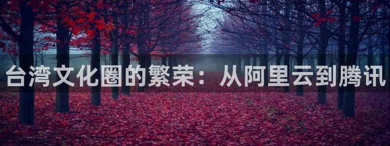 赢彩门户与你同行：台湾文化圈的繁荣：从阿里云到腾讯
