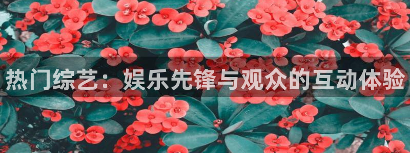 旺角彩二四六天空彩赢彩：热门综艺：娱乐先锋与观众的互动体验