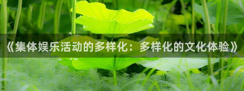 赢彩门户