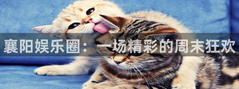 1249cc赢彩天