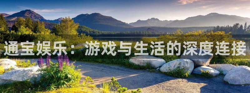 二四天天好彩859赢彩：通宝娱乐：游戏与生活的深度连接